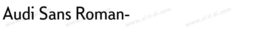 Audi Sans Roman字体转换